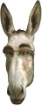 foracoleccio_002a