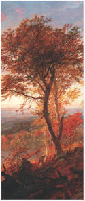 centellas_006.jpg - Colección Centellas nº 6